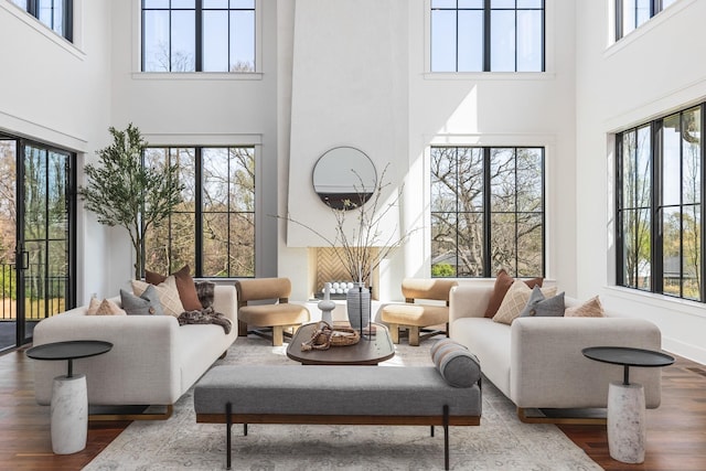 living room with wood-type flooring and a wealth of natural light