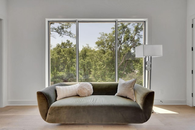 living area featuring light hardwood / wood-style floors