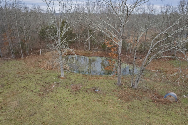 view of local wilderness with a water view