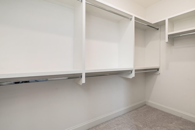 spacious closet featuring carpet flooring