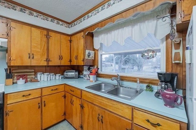 kitchen with crown molding, sink, and a textured ceiling