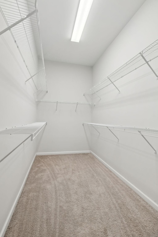 walk in closet featuring carpet floors