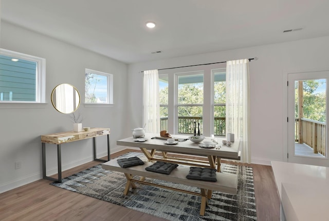 interior space featuring a healthy amount of sunlight and light wood-type flooring