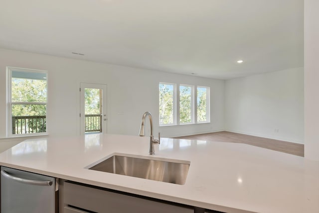 kitchen featuring sink and dishwasher