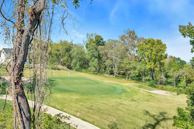 surrounding community featuring a lawn