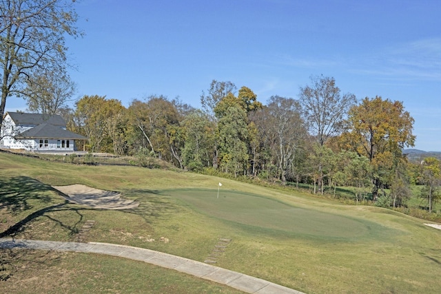 view of property's community with a yard