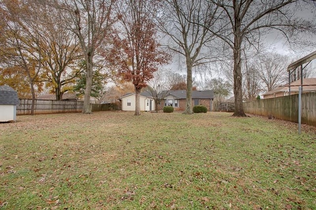 view of yard with a shed