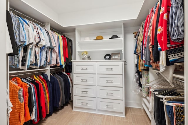 view of spacious closet