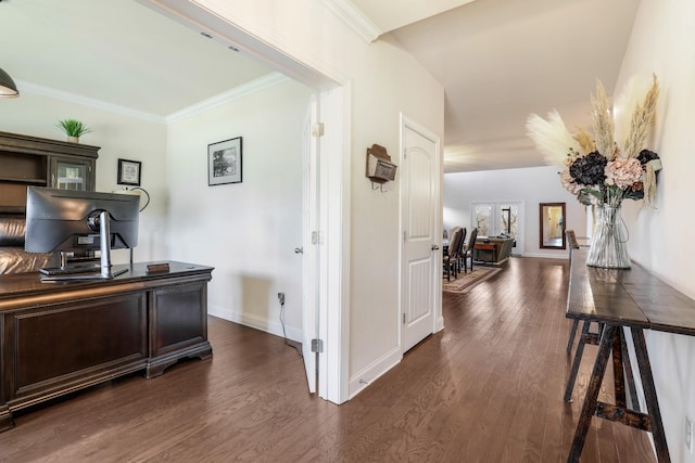 home office featuring crown molding and dark hardwood / wood-style flooring