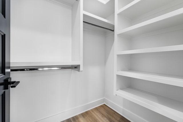 walk in closet featuring wood-type flooring