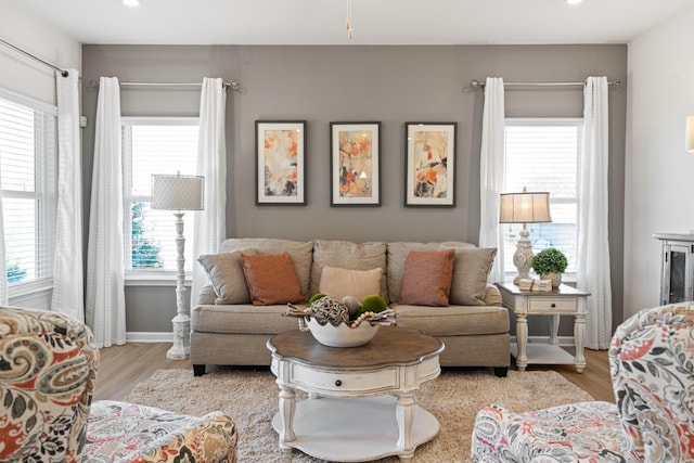 living room with a healthy amount of sunlight and light hardwood / wood-style floors