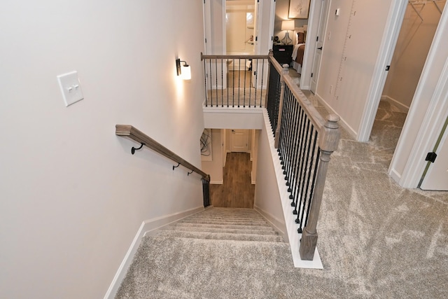 stairs with carpet flooring