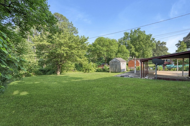 view of yard with a carport and a shed