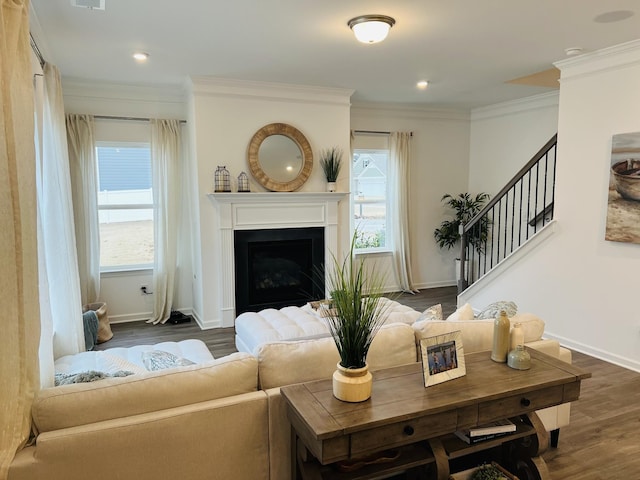 living room with crown molding, dark hardwood / wood-style floors, and a healthy amount of sunlight