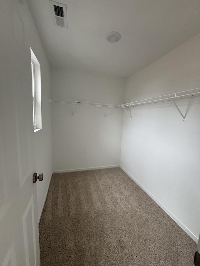 spacious closet featuring carpet floors