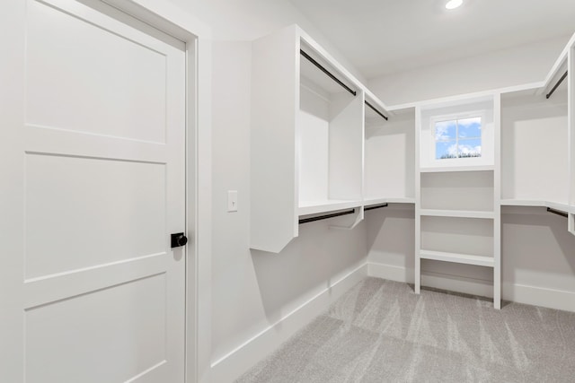 spacious closet featuring light colored carpet