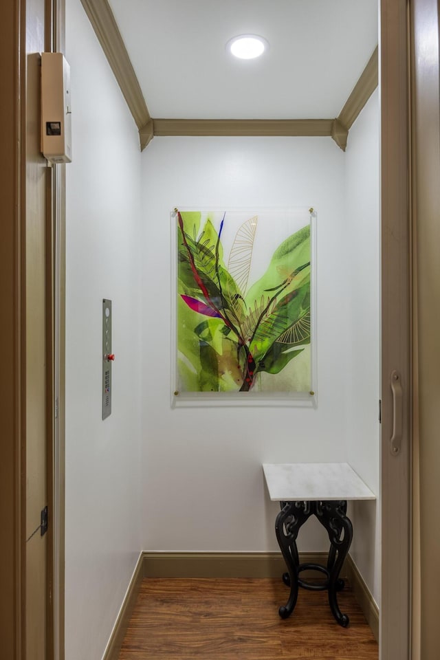 corridor with dark hardwood / wood-style flooring and ornamental molding