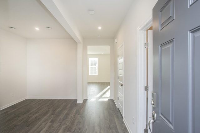 foyer with dark wood-type flooring