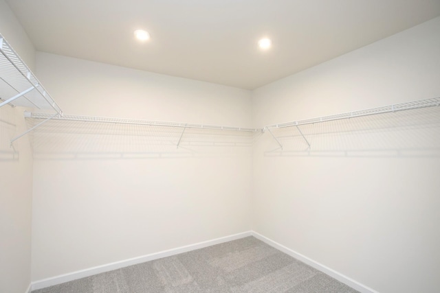 walk in closet with carpet flooring