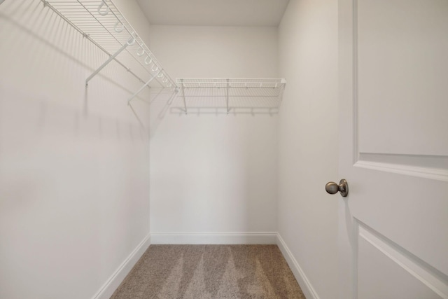 spacious closet with carpet flooring