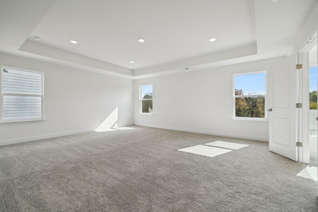 empty room featuring a raised ceiling and light carpet