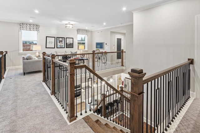 stairway with crown molding and carpet