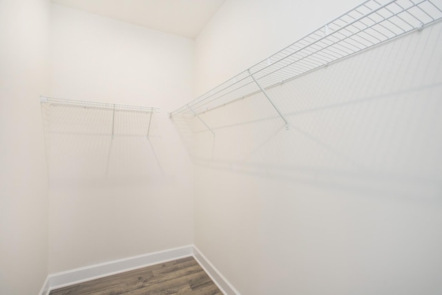 spacious closet featuring dark hardwood / wood-style flooring