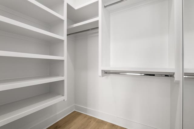 spacious closet with hardwood / wood-style flooring