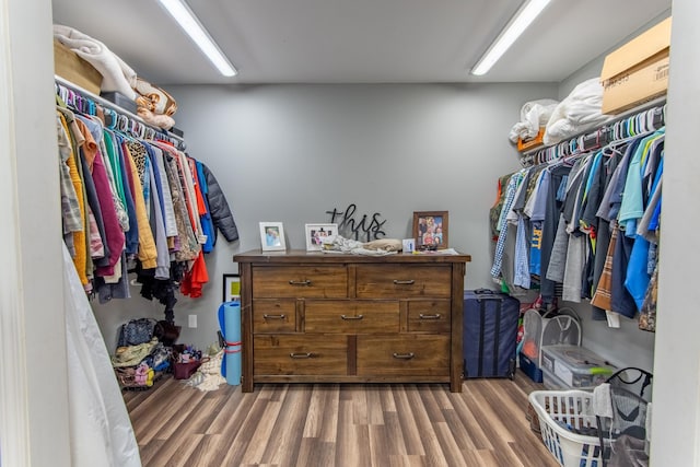 spacious closet with wood-type flooring