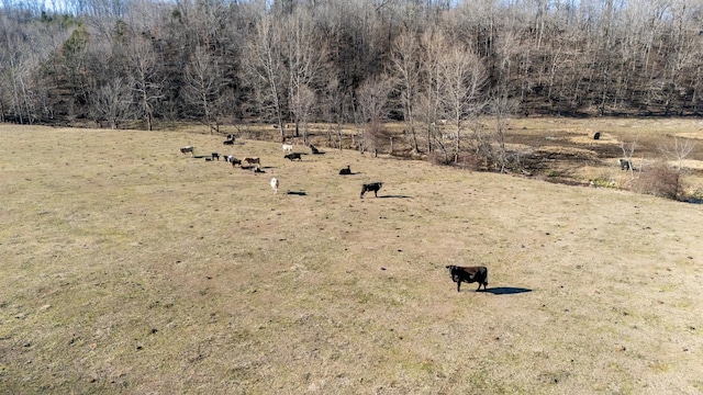 view of local wilderness with a rural view