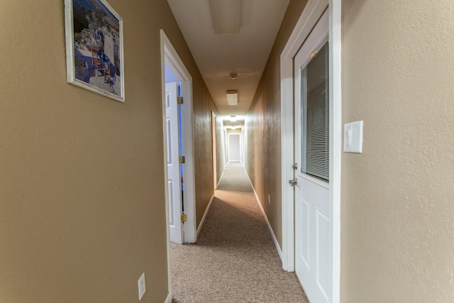 hallway featuring carpet flooring