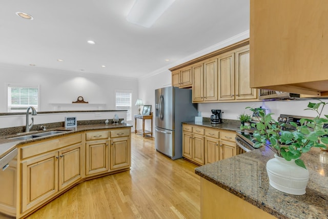 kitchen featuring ornamental molding, appliances with stainless steel finishes, light brown cabinetry, and sink