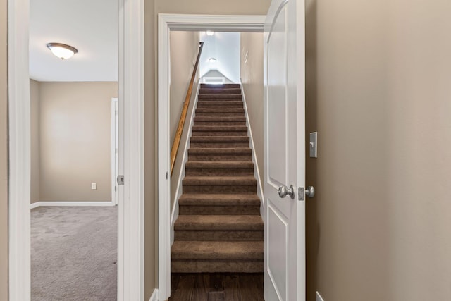 stairs featuring carpet