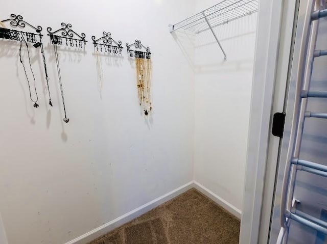 spacious closet featuring carpet