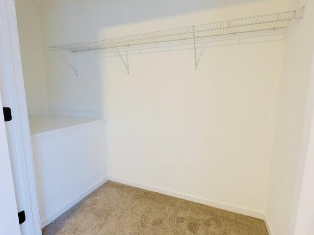 spacious closet featuring light carpet