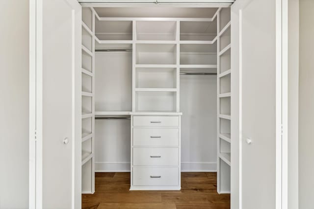 walk in closet featuring dark hardwood / wood-style floors