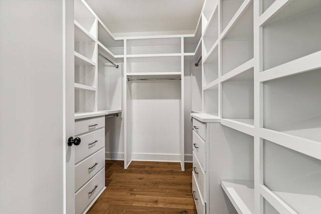 spacious closet featuring dark hardwood / wood-style flooring