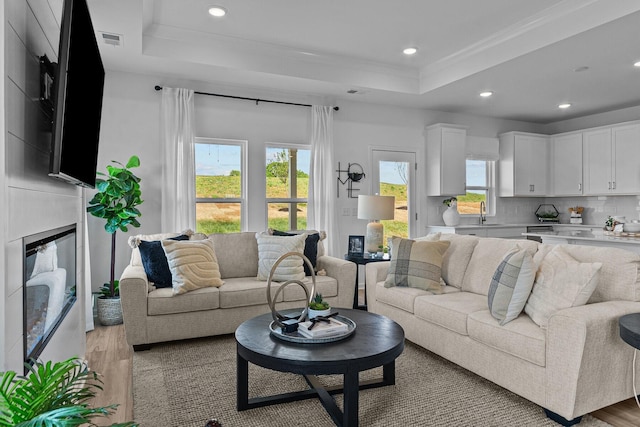 living room with ornamental molding, a raised ceiling, sink, and light wood-type flooring