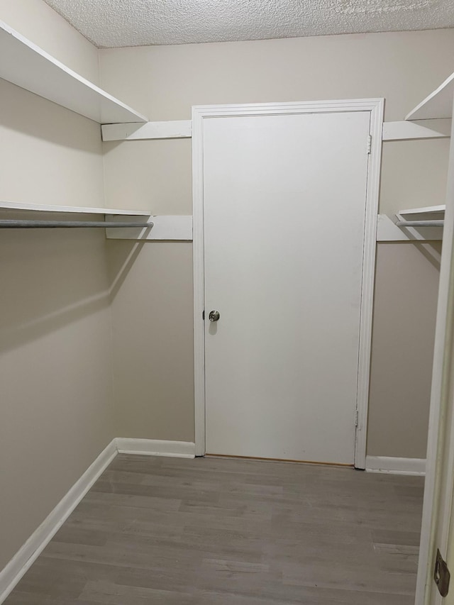 spacious closet with wood-type flooring