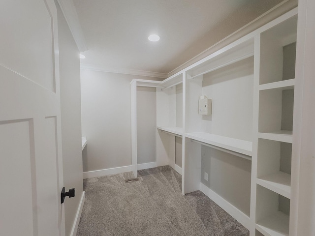 walk in closet featuring carpet flooring