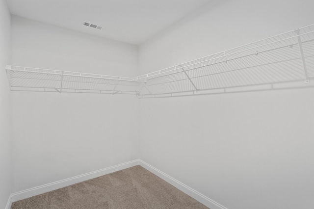 walk in closet featuring carpet