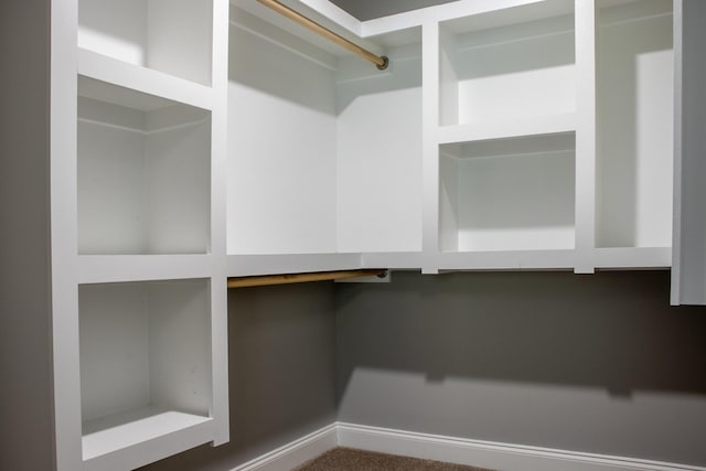 spacious closet with dark colored carpet