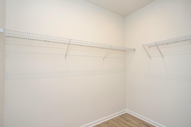 walk in closet with wood-type flooring