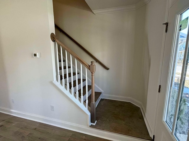 staircase featuring hardwood / wood-style flooring and ornamental molding