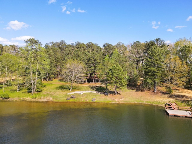 Listing photo 3 for 0 Pine Lake Rd, Summertown TN 38483