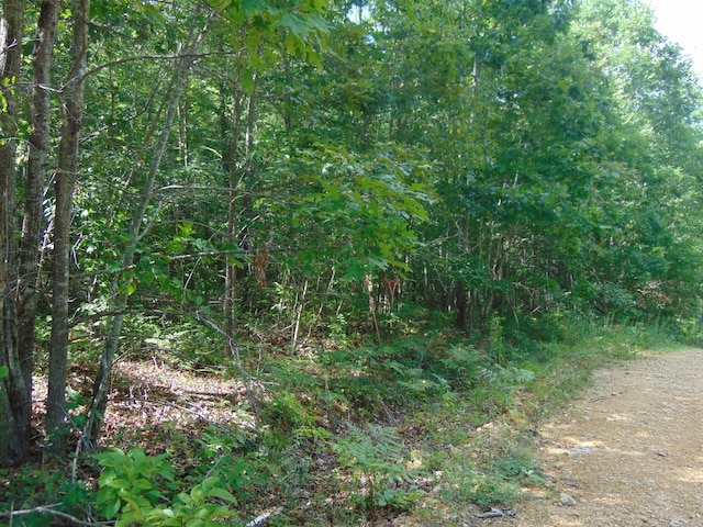 Listing photo 2 for 0 Pine Lake Rd, Summertown TN 38483