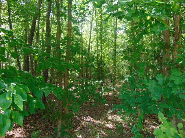 0 Pine Lake Rd, Summertown TN, 38483 land for sale