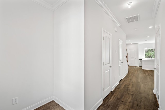 corridor featuring crown molding and dark hardwood / wood-style floors