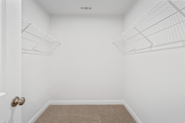 spacious closet featuring carpet