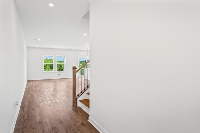 hallway featuring dark hardwood / wood-style flooring